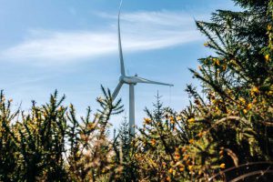 Carrownagowan Wind Farm - Carrownagowan Wind Farm